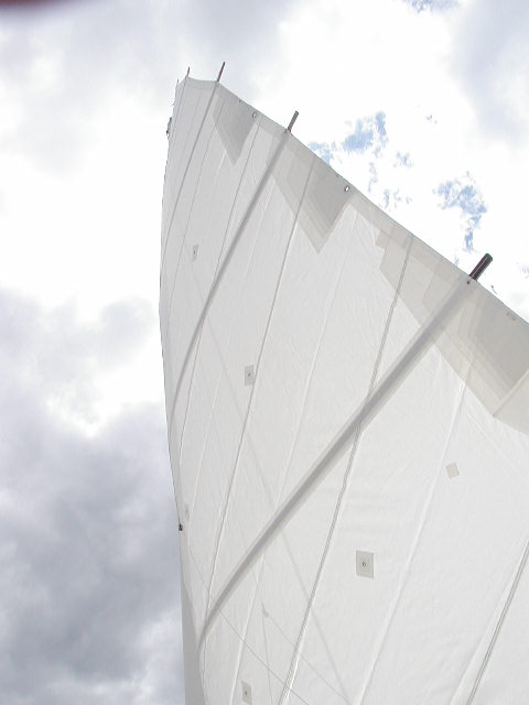 saillookingup.jpg